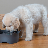 VitaJuwel Pet Bowl Blue