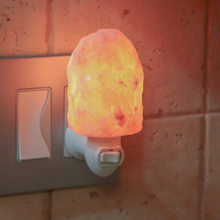 Himalayan Salt Night Light Uncrafted